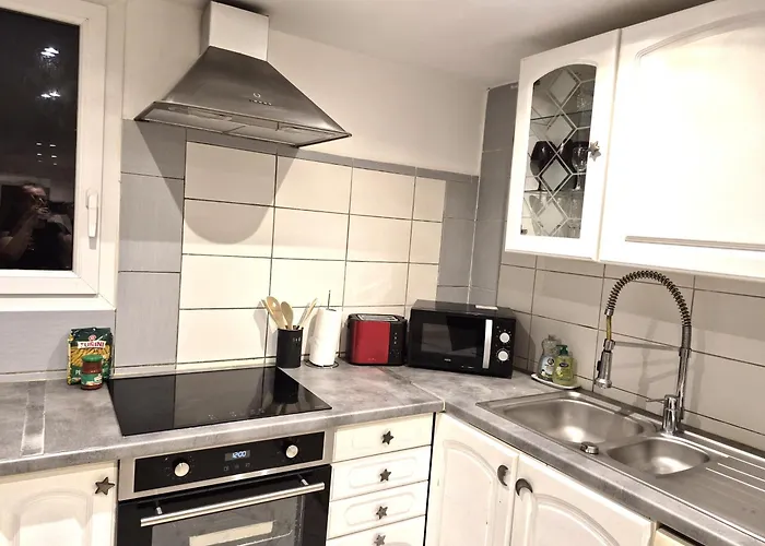 Rez De Confort & Grand Exterieur 公寓 菲里亚尼